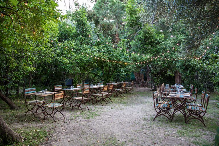 cenas de verano con encanto en el olivar de Castillejo en Madrid