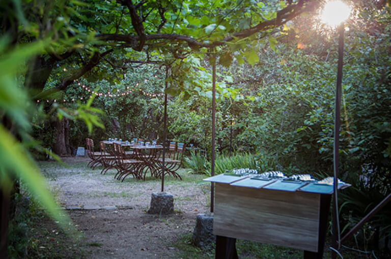 cenas de verano en el olivar de Castillejo en Madrid