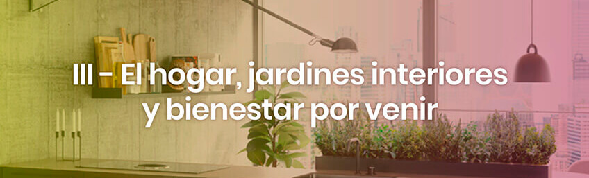 Éxito absoluto del tercer encuentro del programa Viviendas y vivencias por venir.