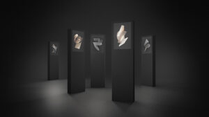 Rimadesio totem Stories and Matters